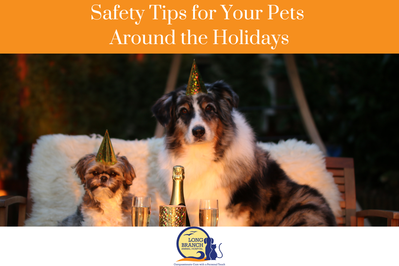 Safety Tips for Your Pets Around the Holidays